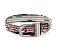 American Flag Veterans Day Dog Collar Adjustable Pet Collar Stainless Steel D-Ring Collar Oxford Cloth Cat Collar Strap with Metal Buckle for Small Medium Dog