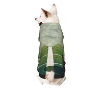 American Football Field Ball Sport Printed Dog Hoodie Soft Dog Sweatshirt Cute Cat Dog Clothes for Small Dogs Kitten Puppy, 2XL