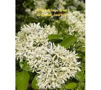 American Fringe Tree Gratitude Journal