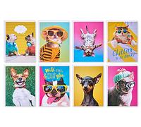 American Greetings Funny Blank Cards with Envelopes for All Occasions, Dogs & Cats (48-Count)