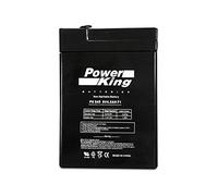 AMERICAN HUNTER 6V 4.5Ah SLA Rechargeable Battery