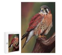 American Kestrel Falcon Puzzle for Adults, 1000 PCS, Illustrated Jigsaw Edition, A Festive Present for Jigsaw Enthusiasts, at Christmas
