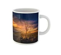 American Lone Tree at Sunset Pyramid Lake Nevada Drinking Cup Unique Tea Cup Durable Coffee Mug Novelty Gift for Sister Anniversary Celebration Valentine's Day 330Ml