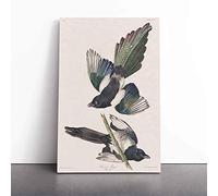 American Magpie by John James Audubon | Canvas Wall Art Print | Framed & Ready to Hang Picture | Modern Home Decor for Living Room, Bedroom, Kitchen or Office | 30x20 Inches