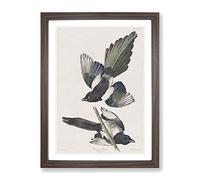American Magpie By John James Audubon Vintage Framed Wall Art Print, Ready to Hang Picture for Living Room Bedroom Home Office Décor, Walnut A4 (34 x 25 cm)