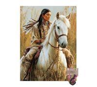 American Native Indian Horse 11CT Pre-Printed Cross Stitch Kits for Adults & Beginners, Pattern Needlepoint Kit Crafts for Home Decor Gifts 12x16 Inch 11173