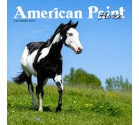 American Paint Horse Calendar 2027: Horse Portraits and Pasture Scenes
