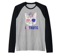 American Patriotic Cat Pawtriotic 4th of July Americana Flag Raglan Baseball Tee