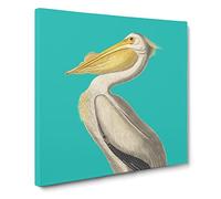 American Pelican in Teal by John James Audubon Canvas Print | Gallery Wrapped 30mm Frame Wall Art | 14x14 inches | Ready to Hang | Modern Bird Picture | Living Room Bedroom Lounge Office