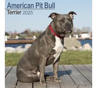 American Pit Bull Terrier Calendar 2025 Square Dog Breed Wall Calendar - 16 Mon