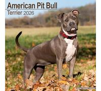 American Pit Bull Terrier 2026 Calendar | Square Wall Calendar | Dog Breed Gift | Plastic Free Packaging | by Avonside Publishing