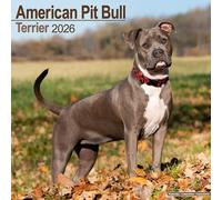 American Pit Bull Terrier Calendar 2026 Square Dog Breed Wall Calendar - 16 Month