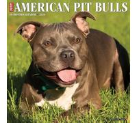 American Pit Bull Terriers 2026 12" x 12" Wall Calendar