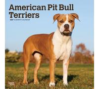 American Pit Bull Terriers 2027 12 X 24 Inch (Hanging) Monthly Square Wall Calendar Plastic-Free