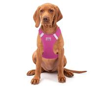 American River Ultra Choke-Free Mesh Dog Harness by Doggie Design - Candy Pink Size 2X/3X-Large
