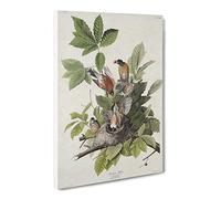 American Robins By John James Audubon Canvas Print | Gallery Wrapped 30mm Frame Wall Art | 24x16 inches | Ready to Hang | Retro Picture | Living Room Bedroom Lounge Office