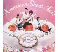 American Short Hair - Aijoubi