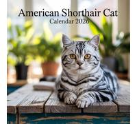 American Shorthair Cat Calendar 2026: A 12-Month Celebration of Charm and Whiskers
