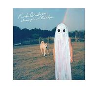 American Singer-songwriter And Guitarist Phoebe Bridgers Stranger in The Alps Album Cover Canvas Poster Bedroom Decor Sports Landscape Office Room Decor Gift 16×16inch(40×40cm) Unframe-style1