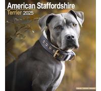 American Staffordshire Terrier 2025 Square Wall Calendar | Dog Breed Calendar