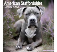 Avonside Publishing - American Staffordshire Terrier 2026 Calendar - Square 16-Month, Plastic-Free