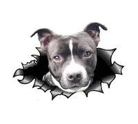 American Staffordshire Terrier Car Sticker, 3D Ripped Effect, Funny Pitbull Waterproof Reflective Sticker for Laptop, Fridge, Bumper, Window (25 cm/9.8 Inch)