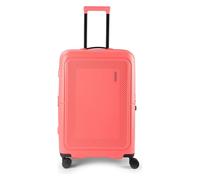 American Tourister Dashpop | Spinner (4 wheels) | 67 cm