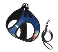 American Usa Flag Eagle Art Print Dog Harness Small Sized And Leash Set, Step In Soft Light Puppy Vest Breathable Mesh Pet Harness