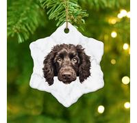 American Water Spaniel Snowflake Ceramic Christmas Ornaments for Christmas Tree Hanging Decoration Animal Puppy Keepsake New Year Xmas Birthday Gifts for Pet Dog Lover