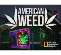 American Weed - Season 1