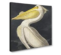 American White Pelican by John James Audubon Canvas Print | Gallery Wrapped 30mm Frame Wall Art | 20x20 inches | Ready to Hang | Modern Bird Picture | Living Room Bedroom Lounge Office