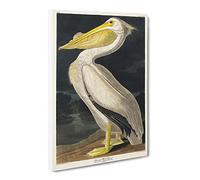 American White Pelican By John James Audubon Canvas Print | Gallery Wrapped 30mm Frame Wall Art | 30x20 inches | Ready to Hang | Retro Bird Picture | Living Room Bedroom Lounge Office