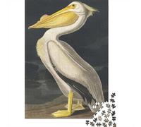 American White Pelican, Jigsaw for Adults, 1000 Pieces, 52x38cm/1000pcs