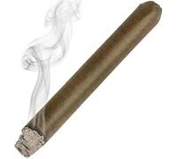 AMERICAN WIT Realistic Looking Fake Stage Puff Cigar (2 Pack) (4.5") Faux Brown Cigar. Looks Like It's lid up
