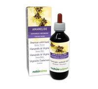 American Witch-Hazel (Hamamelis virginiana) Leaves Alcohol-Free Mother Tincture Naturalma - Liquid Extract Drops 200 ml - Food Supplement - Vegan