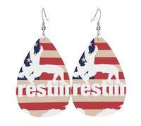 American Wrestling Flag Women Hook Earring Teardrop Shape Drop Earrings Novelty Earring For Multiple Piercings Vacation Ceremonies