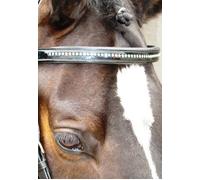 Amerigo Patent Black Browband with Swarovski Crystals - Double Full