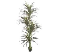 AMERIQUE Gorgeous & Unique 6 Feet Five Head Yucca Artificial Plant Tree with 151 Leaves, Feel Real Technology, Green (Model: MB5516D6P)