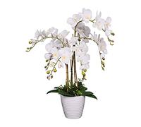 AMERIQUE Unique and Gorgeous Phalaenopsis Orchid Artificial Plant, Silk Flowers with Real Touch Leaves, with Nursery Pot, 2.5', White