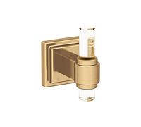 Amerock Glacio Clear/Champagne Bronze Contemporary Single Robe Hook