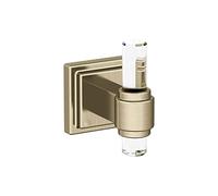 Amerock Glacio Clear/Golden Champagne Contemporary Single Robe Hook