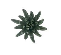 AMERRY Chrysanthemum, 3.54" Ceramic Flower Wall Art, Artificial Flower Wall Sculpture，Handcrafted 3D Hanging Porcelain Flowers,3D Wall Hanging Decor,Porcelain Flower Wall Décor for Home (Dark Green)