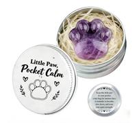 Amethyst Cat Paw Worry Stone for Anxiety Relief, Hand Carved Healing Crystal for Cat Anxiety Relief, Cat Ornaments & C-at Themed Gifts, Spiritual & Inspirational Crystal Gifts for Women, Gift in a Tin