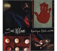 Amethyst Rock Star by Saul Williams