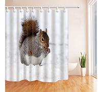 AMFD Squirrel Shower Curtain Eating in Snow Winter Cute Animal White Gray Bathroom Curtains 70 x 70 Inches Polyester Fabric Water Repellent Include Hooks