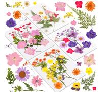 AMFUN 46 Pcs Dried Pressed Flowers for Resin, Real Natural Pressed Flowers Dry Leaves Kit for DIY Art Crafts,Candle Making, Nails Décor, Phone Case, Jewelry