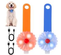 AMFUN LED Dog Collar Light, Light Up Dog Collar with Rechargeable Battery, Adjustable for Small Medium Large Dogs, Increased Dog's Safety