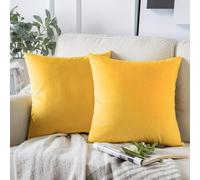 AMFUN Set of 2 Velvet Cushion Covers,Apricot 40x 40cm Luxury Velvet Square Throw Pillow Cases, Decorative Throw Pillowcases with Invisible Zipper, for Livingroom Sofa Bedroom