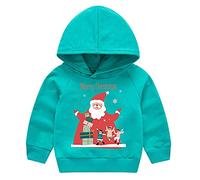 AMhomely Christmas Sweatshirt Kids-Christmas Hoodies For Girls Boys,Xmas Tree,Letter,Santa Claus,Reindeer,Graphic,Long Sleeve,Autumn Winter,Festive Hooded Tops C Green 4-5 Years