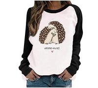 AMhomely Womens Cat Print Pullover Kawaii Hedgehog Pattern Sweatshirts Casual Color Block Raglan Long Sleeves O Neck Loose Tops Blouses Ladies Crew Neck Jumpers Loose Pullover B-Black